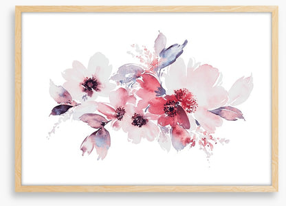 Soft bloom