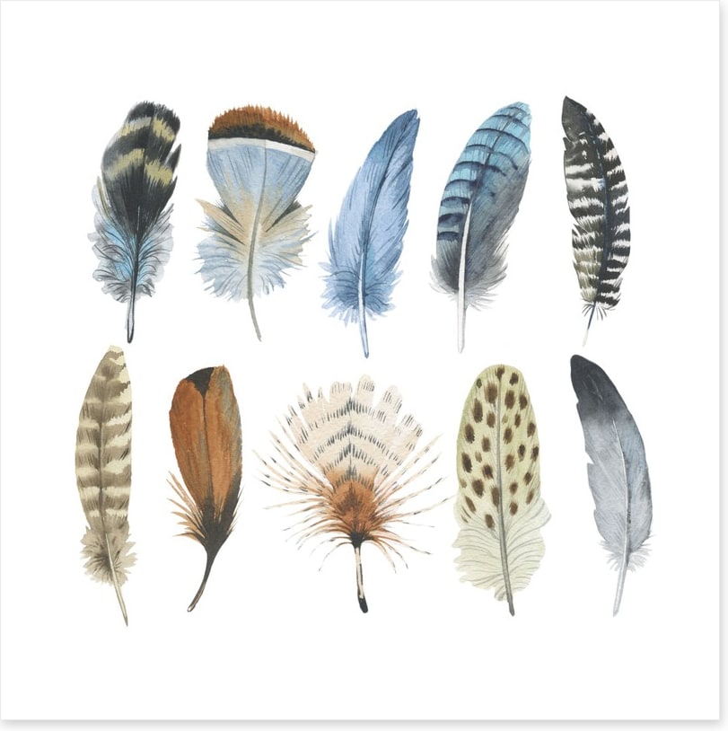 Feather me plumes