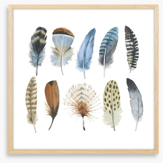 Feather me plumes