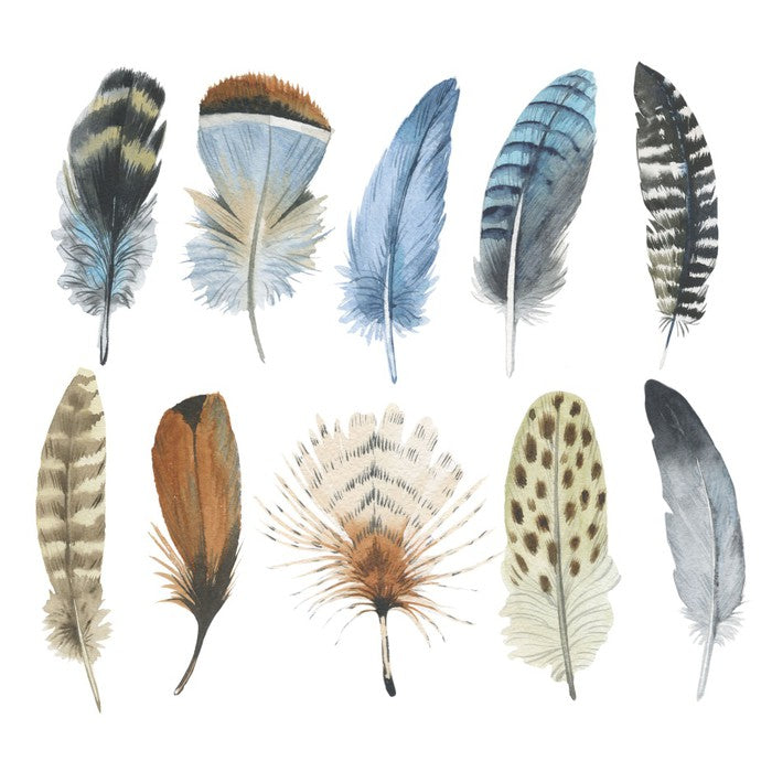 Feather me plumes