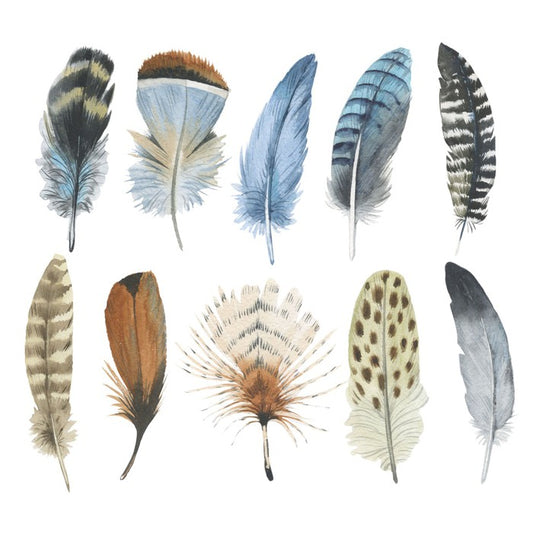 Feather me plumes