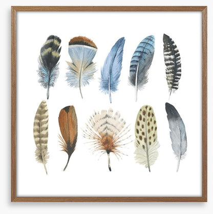Feather me plumes