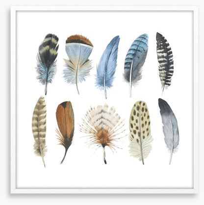 Feather me plumes