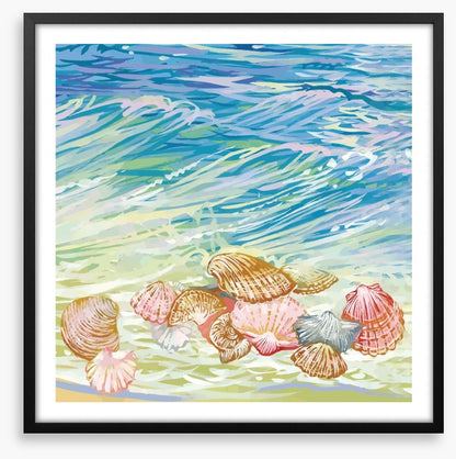Seashore shells
