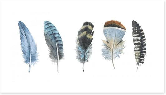 Feather me panorama