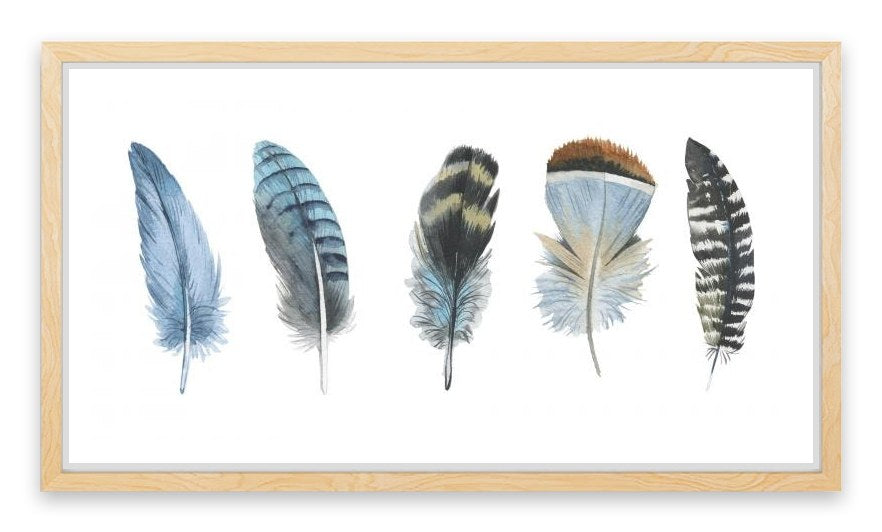Feather me panorama