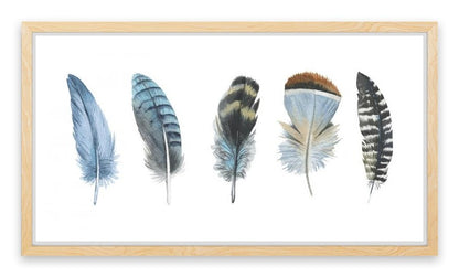 Feather me panorama