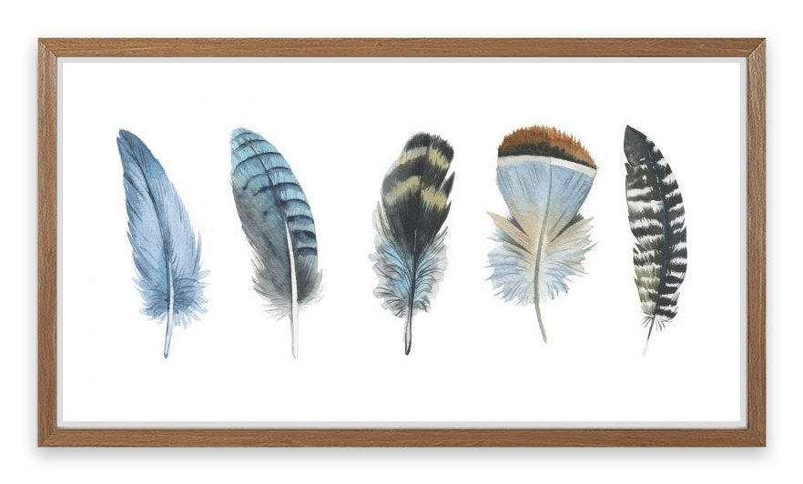 Feather me panorama