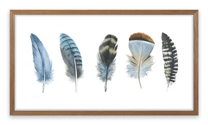 Feather me panorama