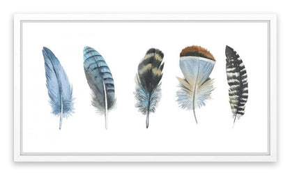 Feather me panorama