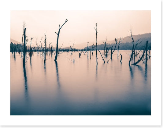 Tasmania