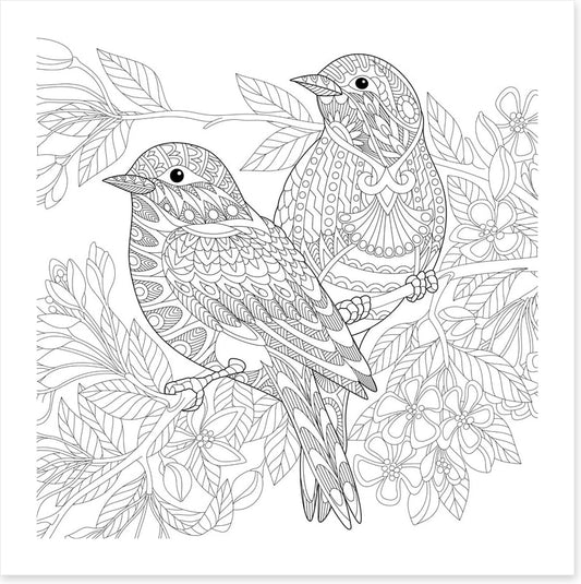 Colour me birds