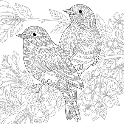 Colour me birds