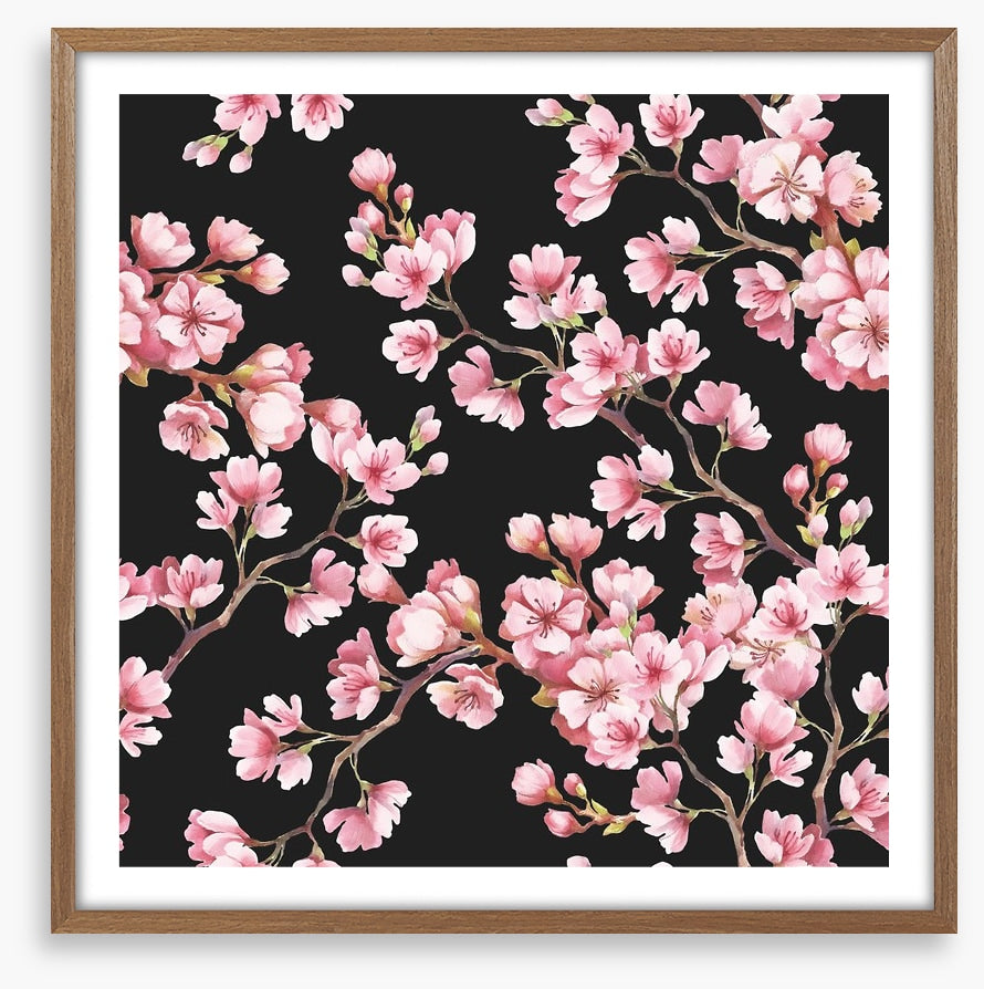 Blooming branches