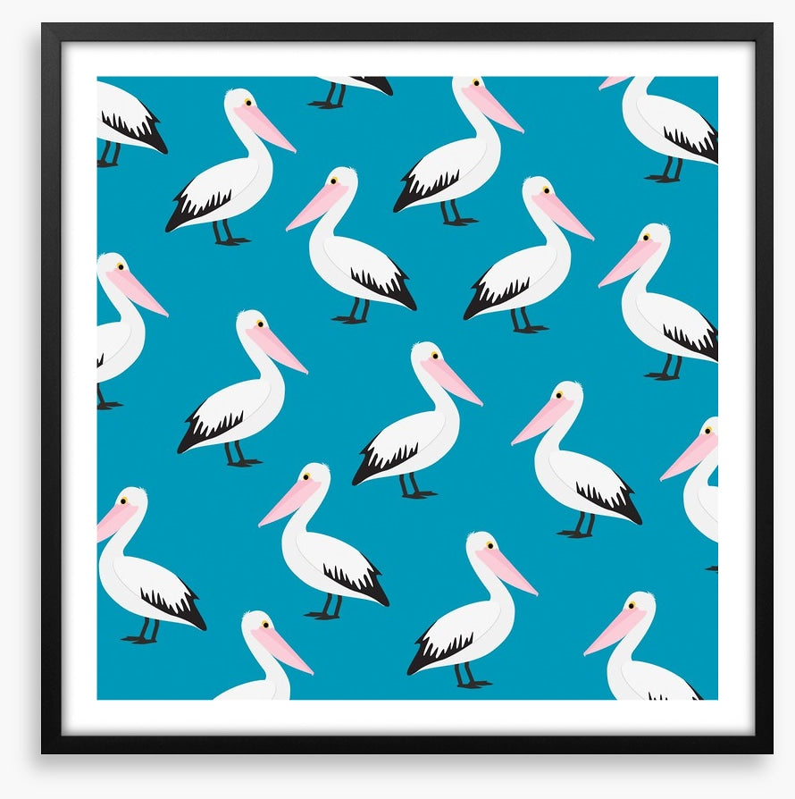 Pelican waters