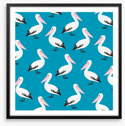 Pelican waters