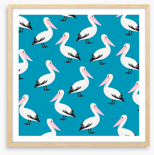 Pelican waters