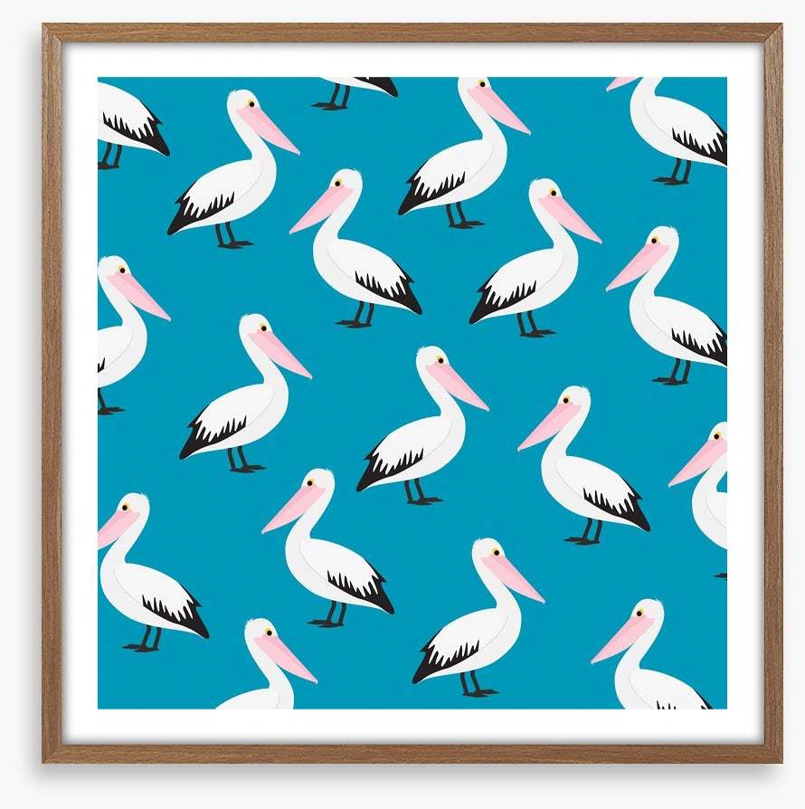 Pelican waters