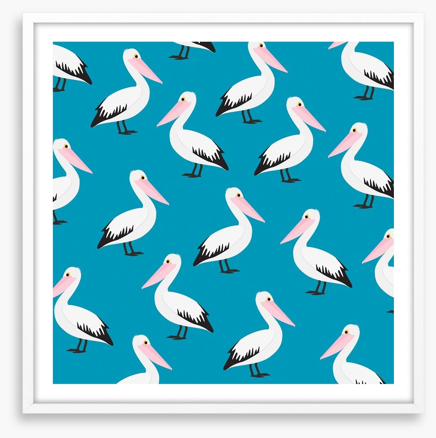 Pelican waters