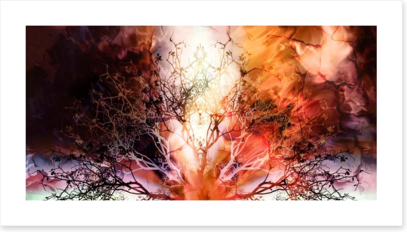 The burning tree