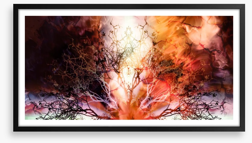 The burning tree