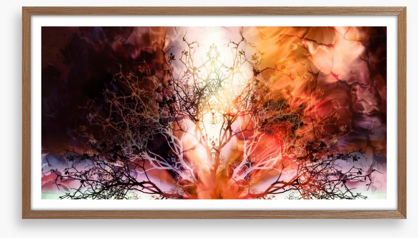 The burning tree