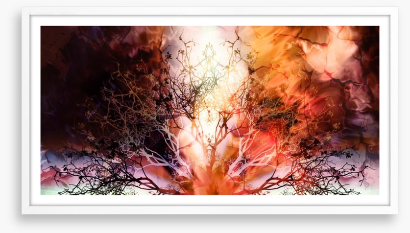 The burning tree
