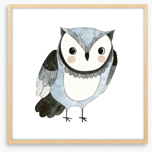 Owls