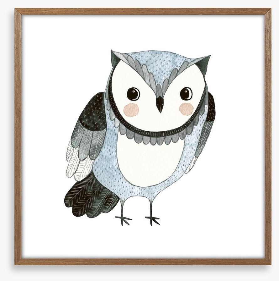 Owls