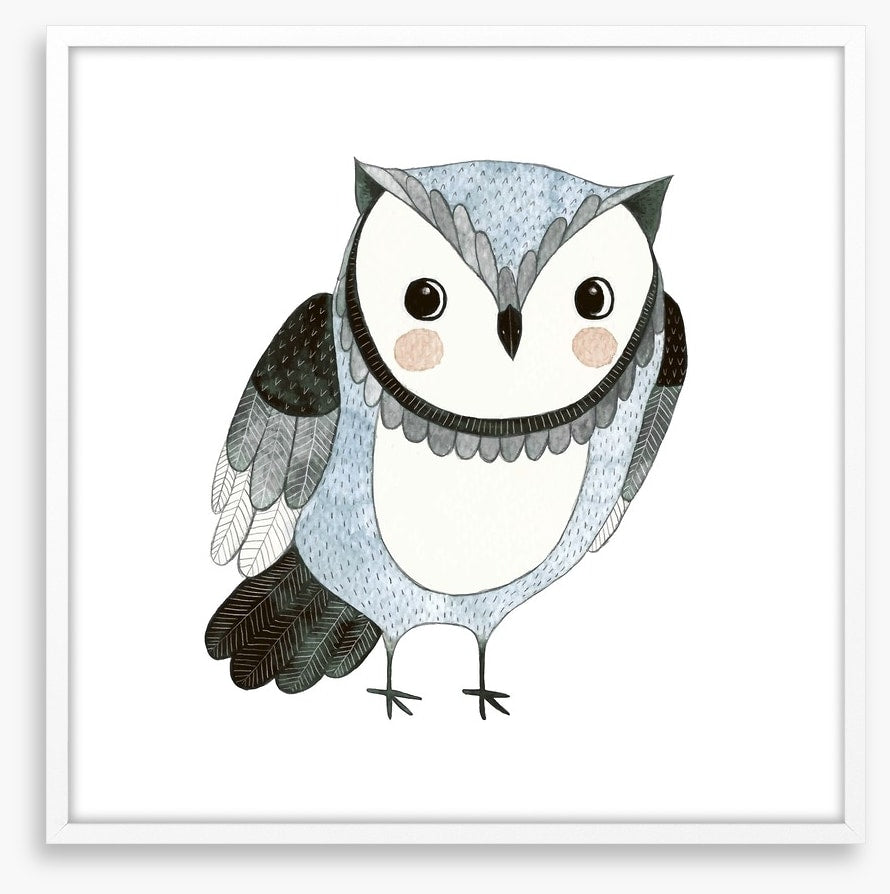 Owls