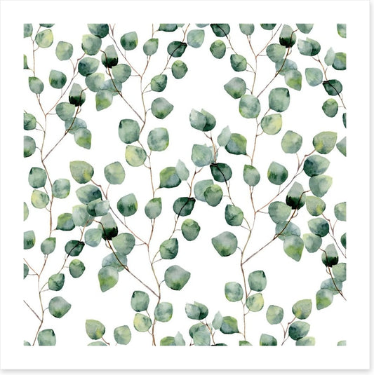 Silver eucalypts