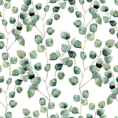 Silver eucalypts