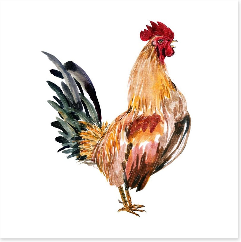 Chicken licken