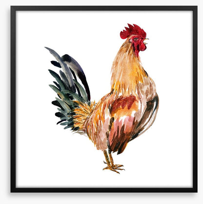 Chicken licken