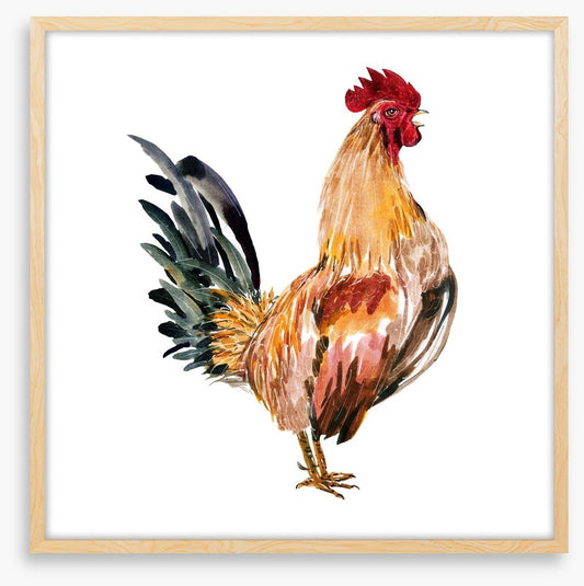 Chicken licken