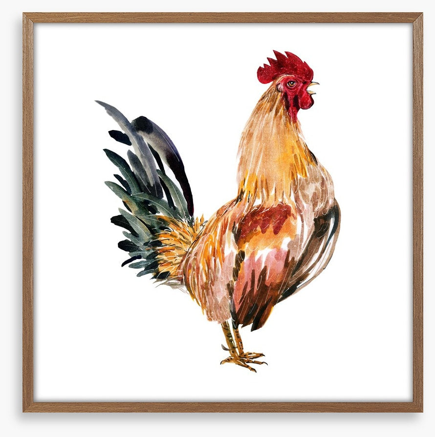 Chicken licken