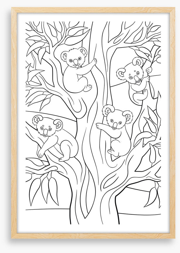 Colour me koalas