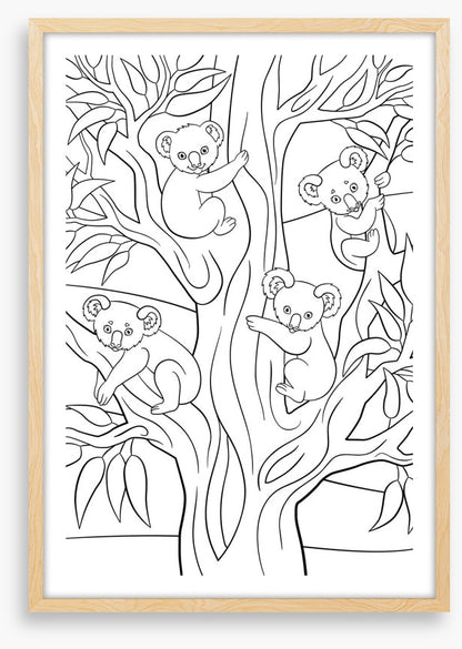 Colour me koalas