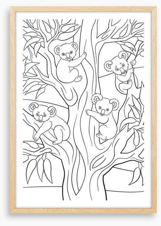 Colour me koalas
