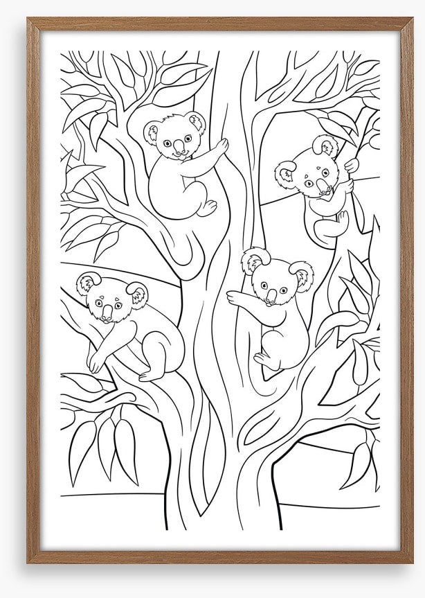 Colour me koalas