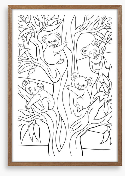 Colour me koalas