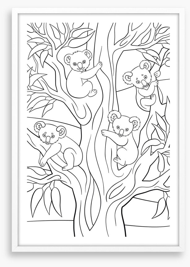 Colour me koalas