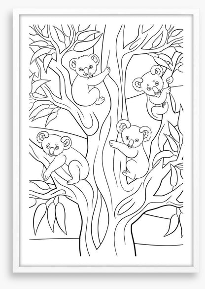 Colour me koalas