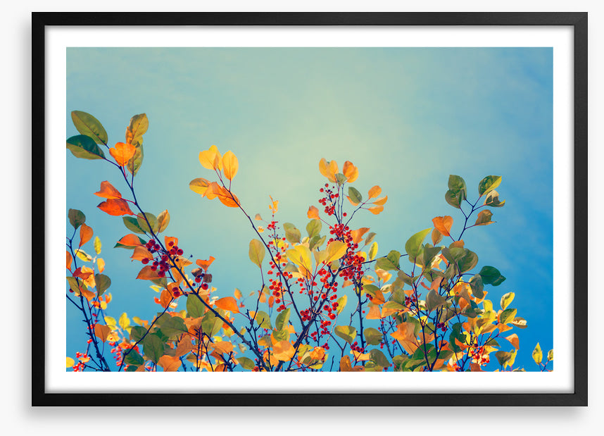 Autumn rainbow