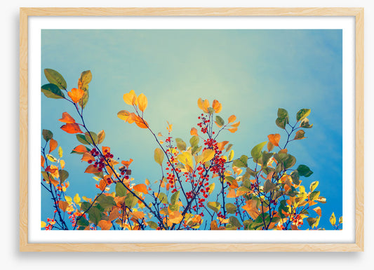 Autumn rainbow