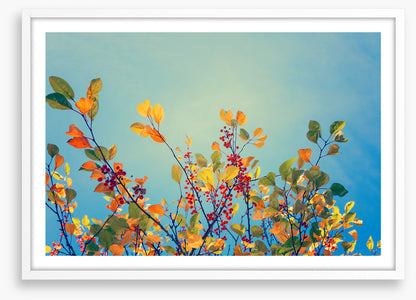 Autumn rainbow
