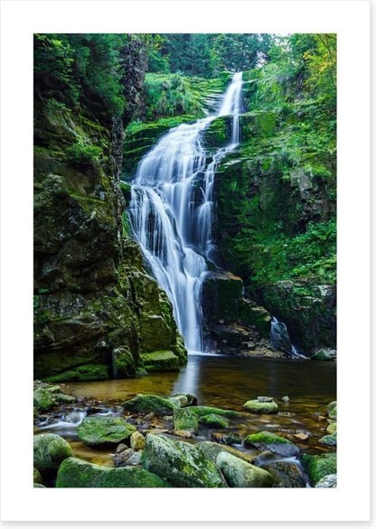 Gracefully green