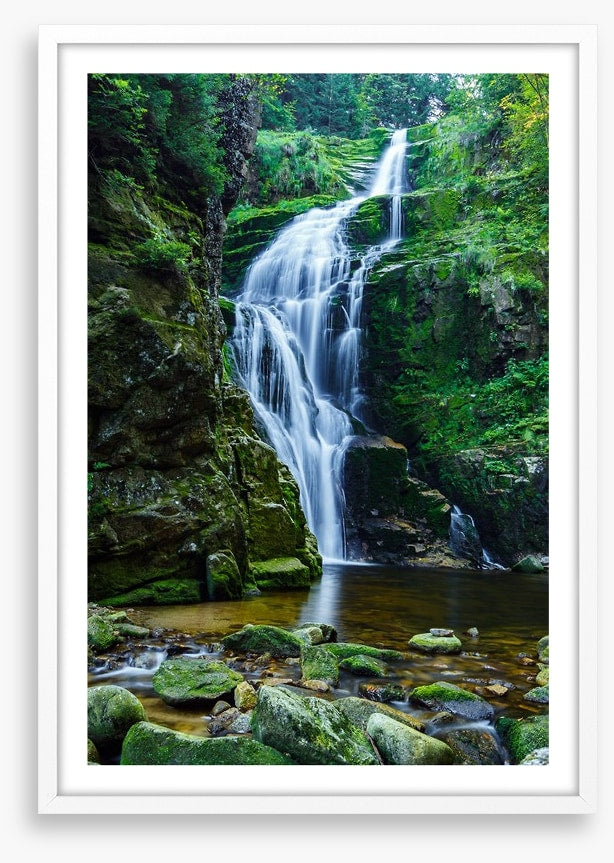 Gracefully green
