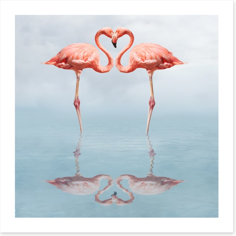 Lovebirds