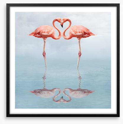 Lovebirds